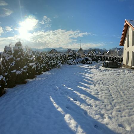 Willa Śnieżka House Mysłakowice Zewnętrze zdjęcie